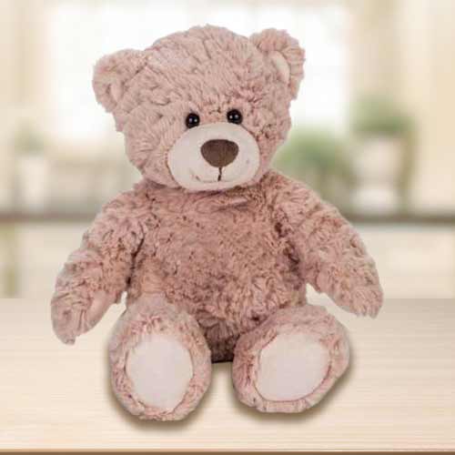Big Teddy