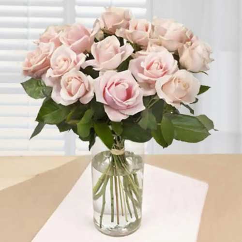 12 Pink Rose Bouquet